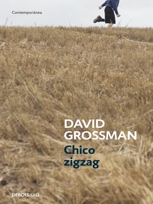 cover image of Chico zigzag